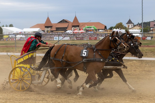 新的足球文 新的足球文